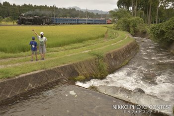 夏休みのおもひで