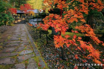 先生 輪王寺_大猷院_境内