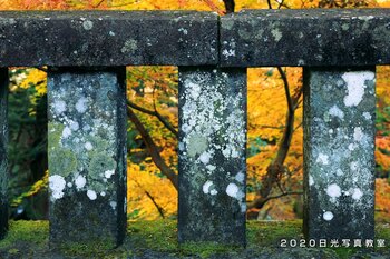 先生 輪王寺_大猷院_境内_