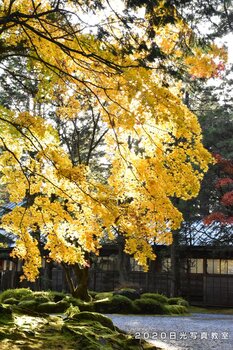 ボランティア 本坊 輪王寺