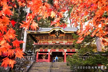 ボランティア 仁王門 大猷院 輪王寺