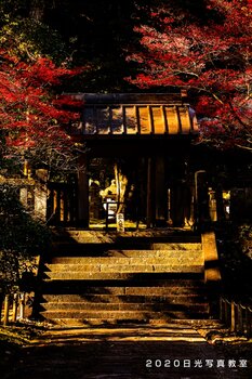 ボランティア 大猷院霊廟別当所竜光院表の門 輪王寺05