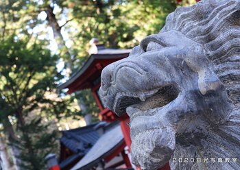 参加者 二荒山神社 狛犬02