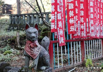 参加者 瀧尾神社 狛犬